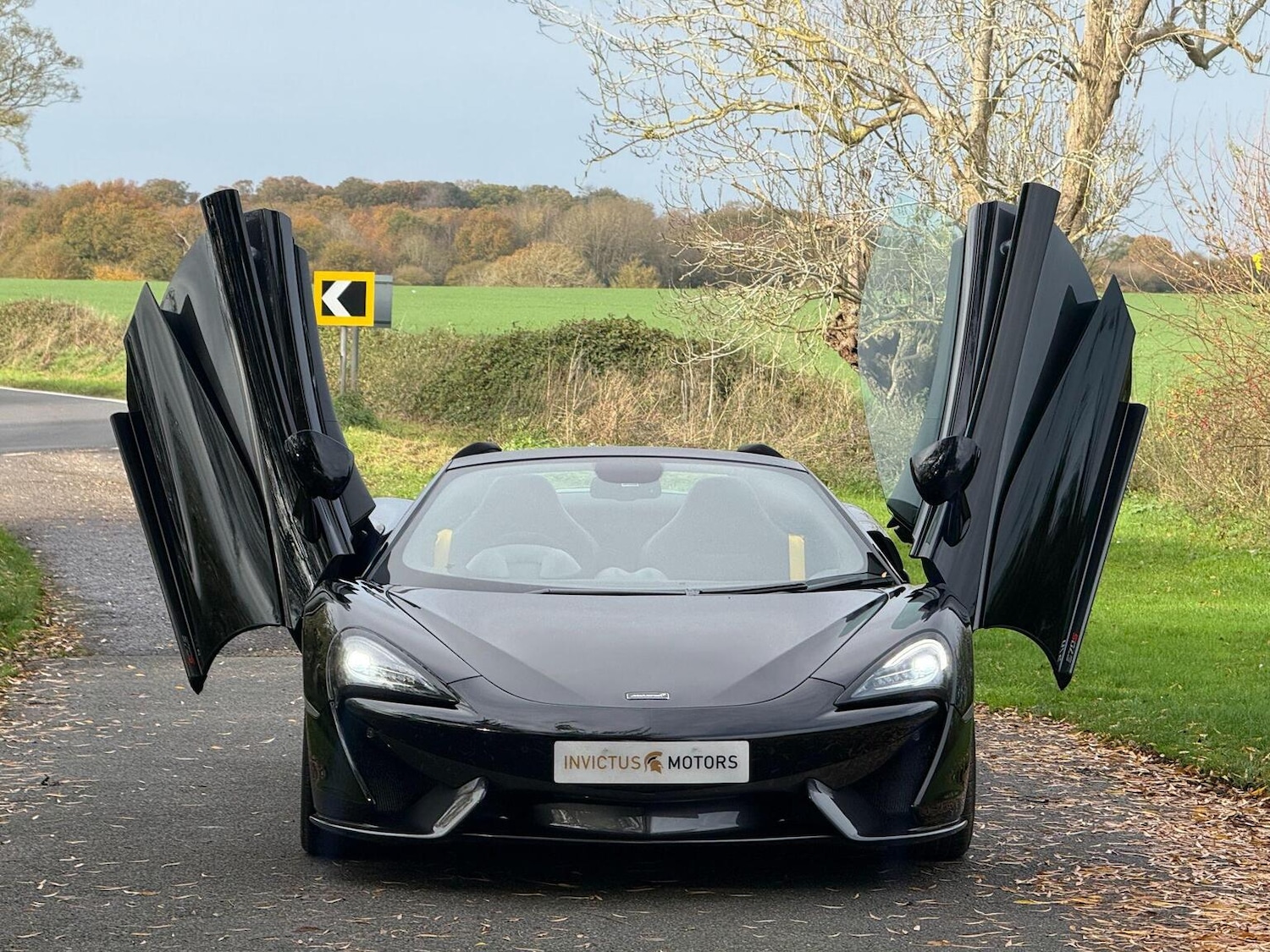 Used McLaren 570S 2019 for sale - 76931444: Photo 31