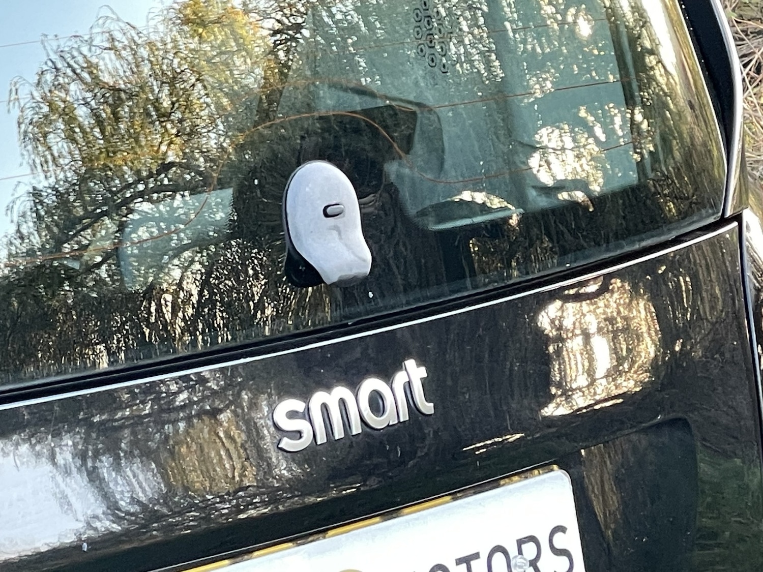 Used smart fortwo 2016 for sale - 76716188: Photo 16