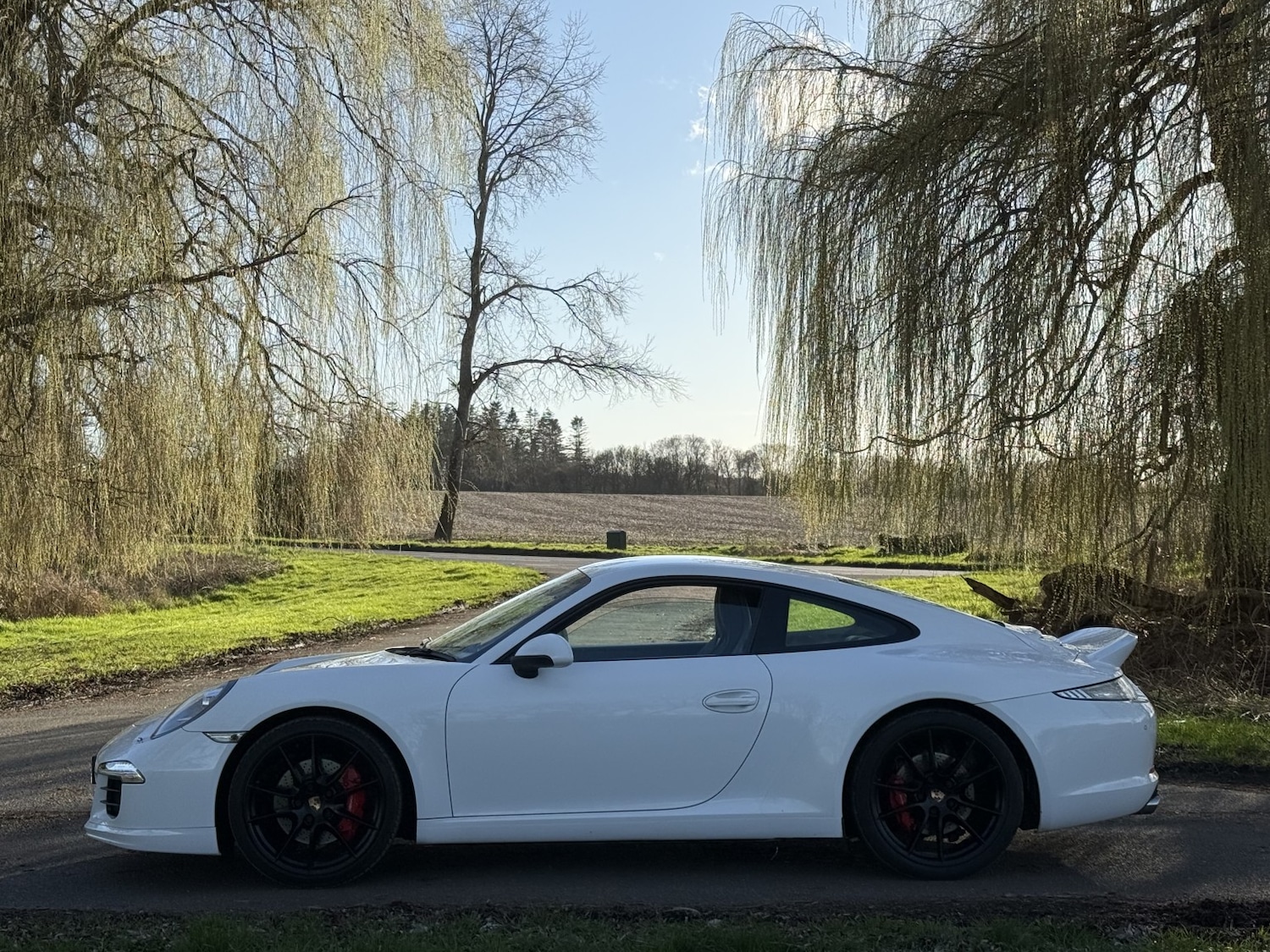 Used Porsche 911 2013 for sale - 77822241: Photo 8