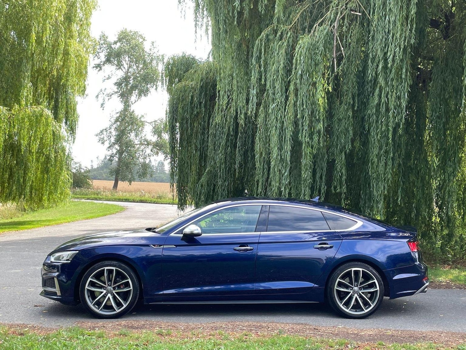 Used Audi A5 2017 for sale - 76716212: Photo 15