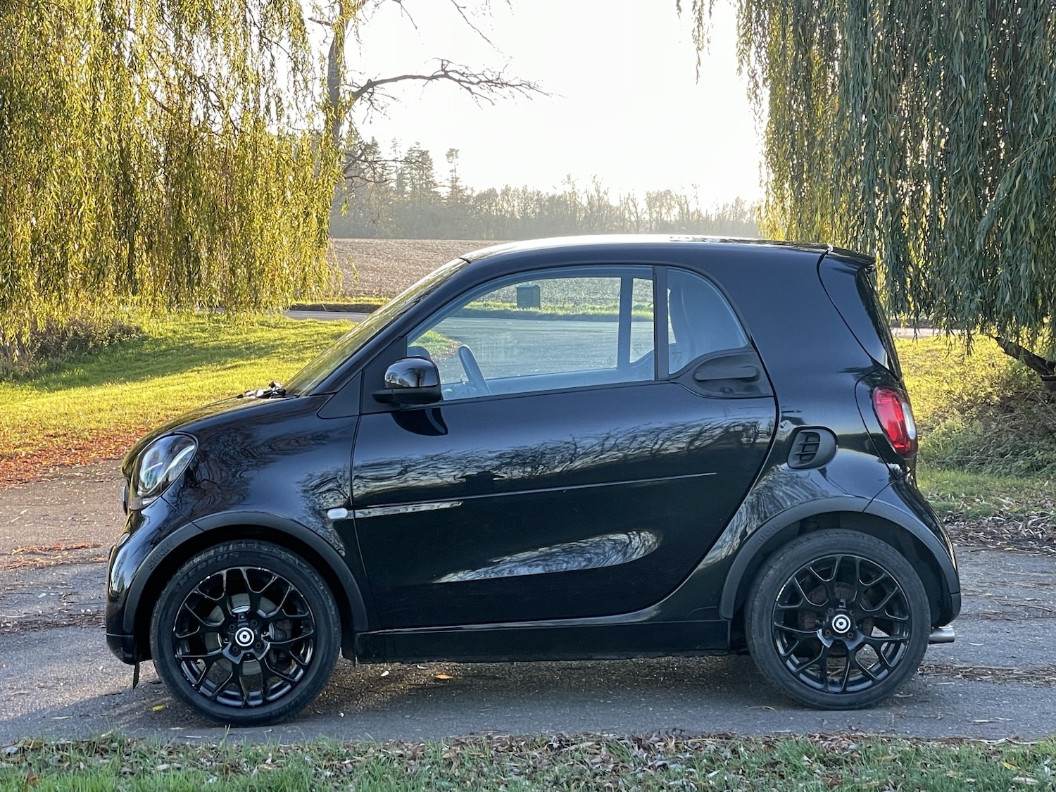 Used smart fortwo 2016 for sale - 76935292: Photo 11