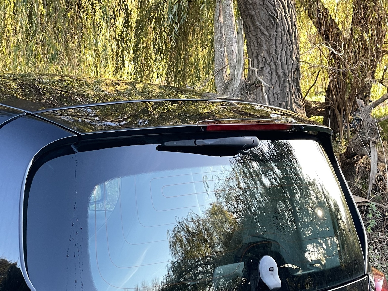 Used smart fortwo 2016 for sale - 76935292: Photo 15