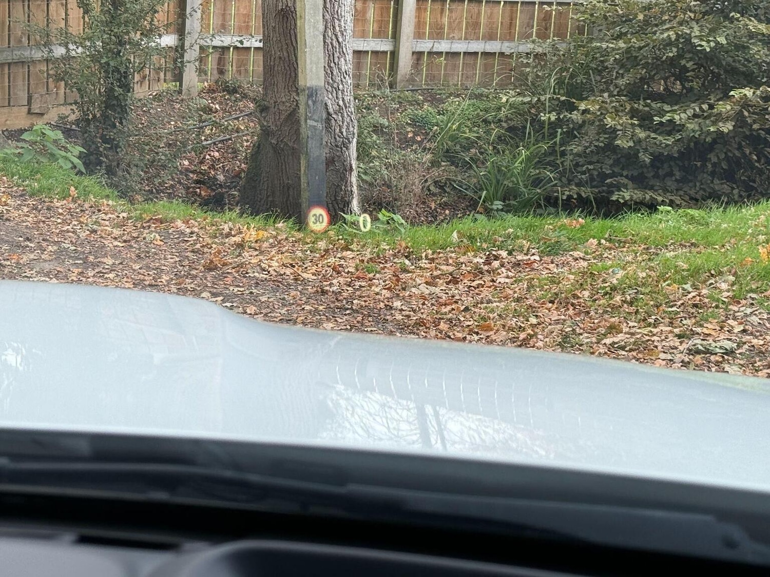 Used BMW M4 2017 for sale - 76716203: Photo 18