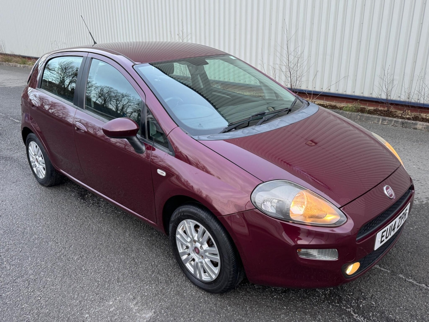 Used Fiat Punto 2014 for sale - 77637584: Photo 5