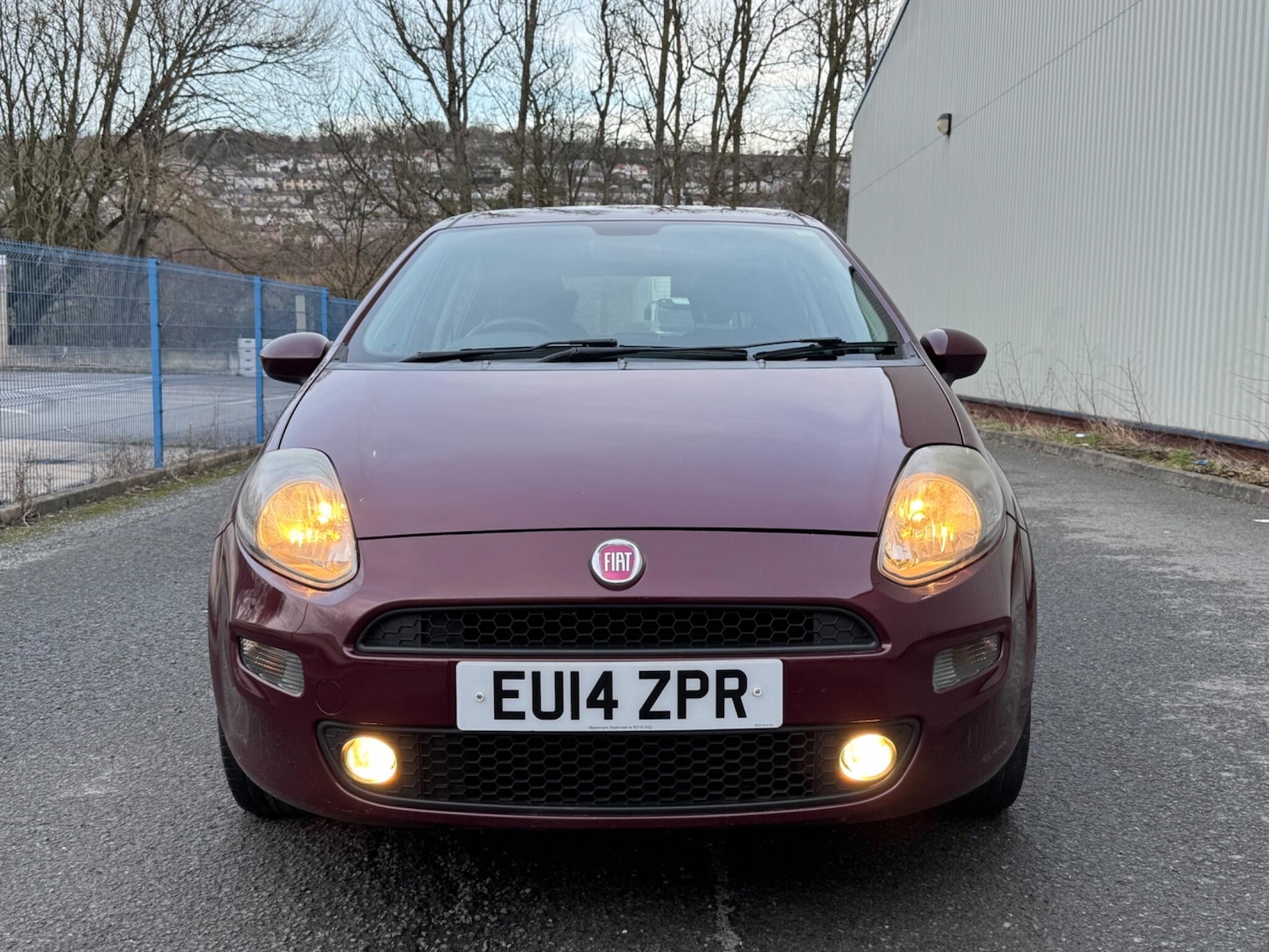 Used Fiat Punto 2014 for sale - 77637584: Photo 6