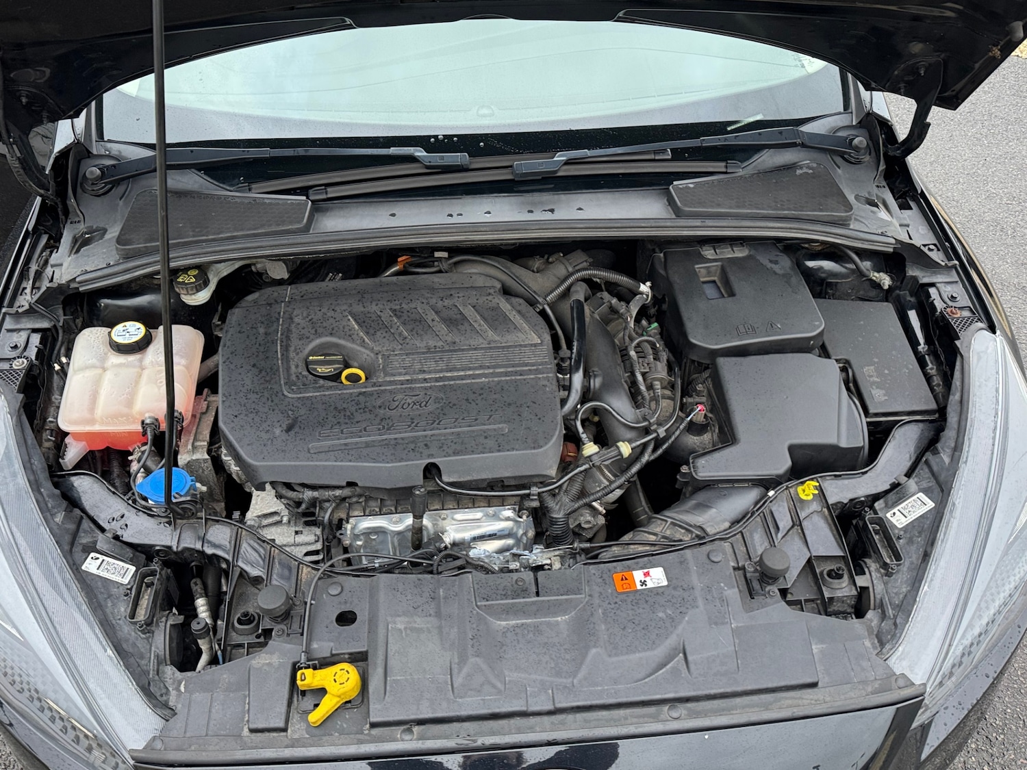 Used Ford Focus 2015 for sale - 76948525: Photo 9