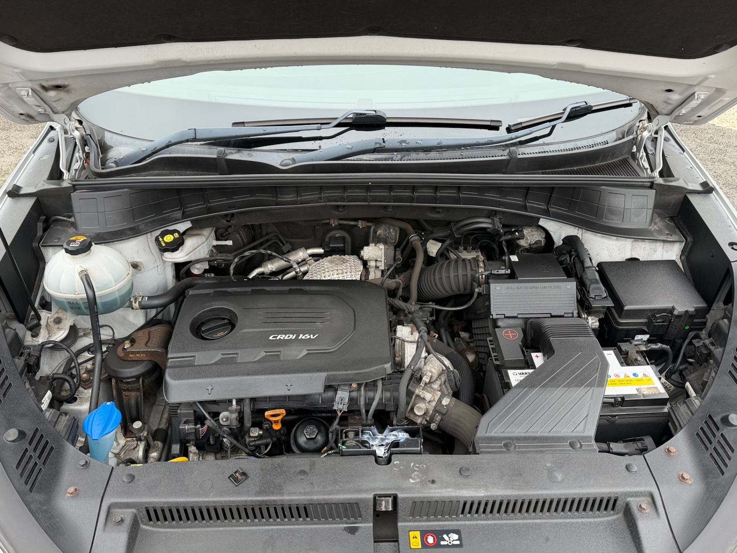 Used Hyundai TUCSON 2017 for sale - 77404745: Photo 9