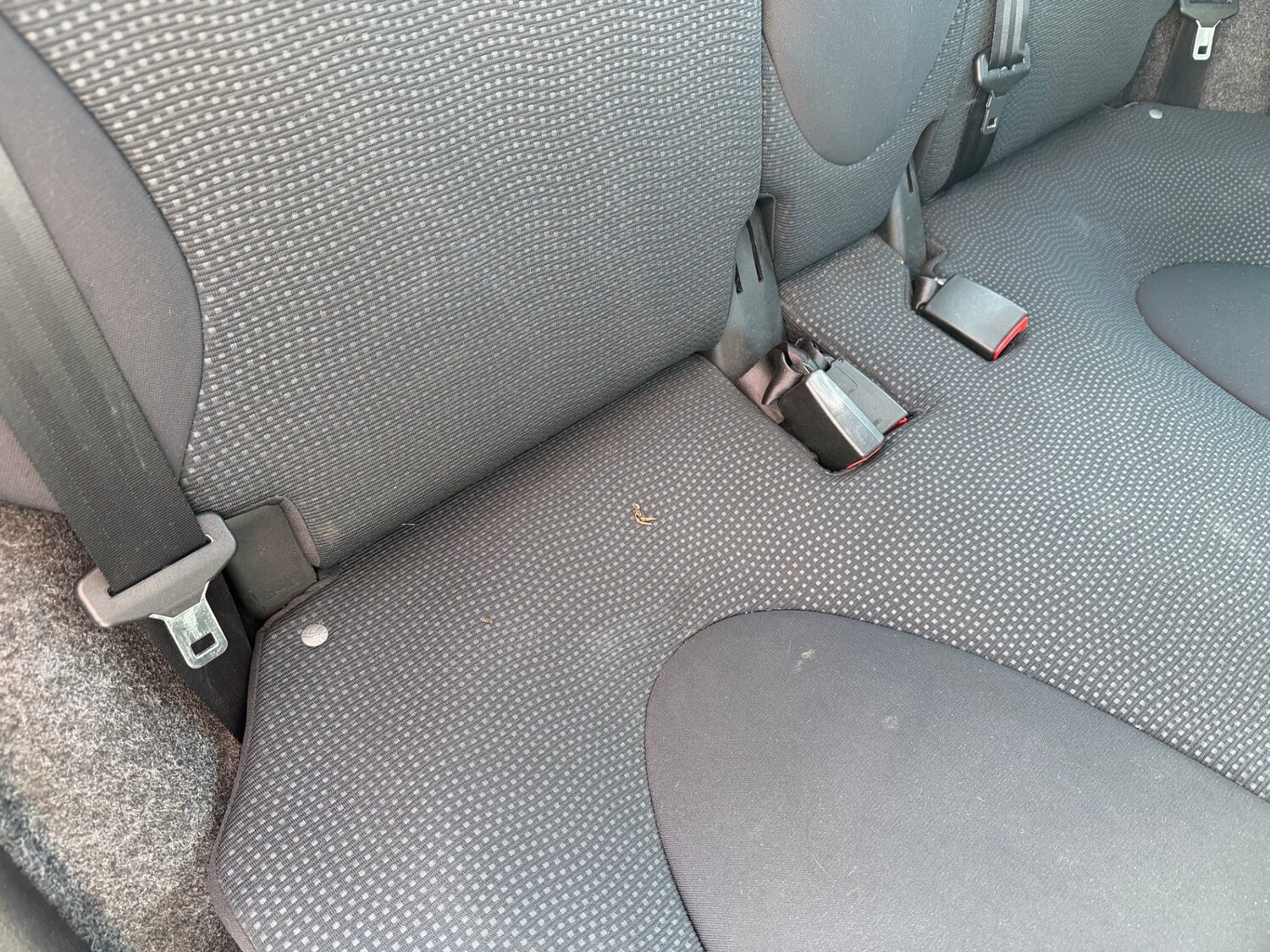 Used Nissan Micra 2009 for sale - 78153198: Photo 23