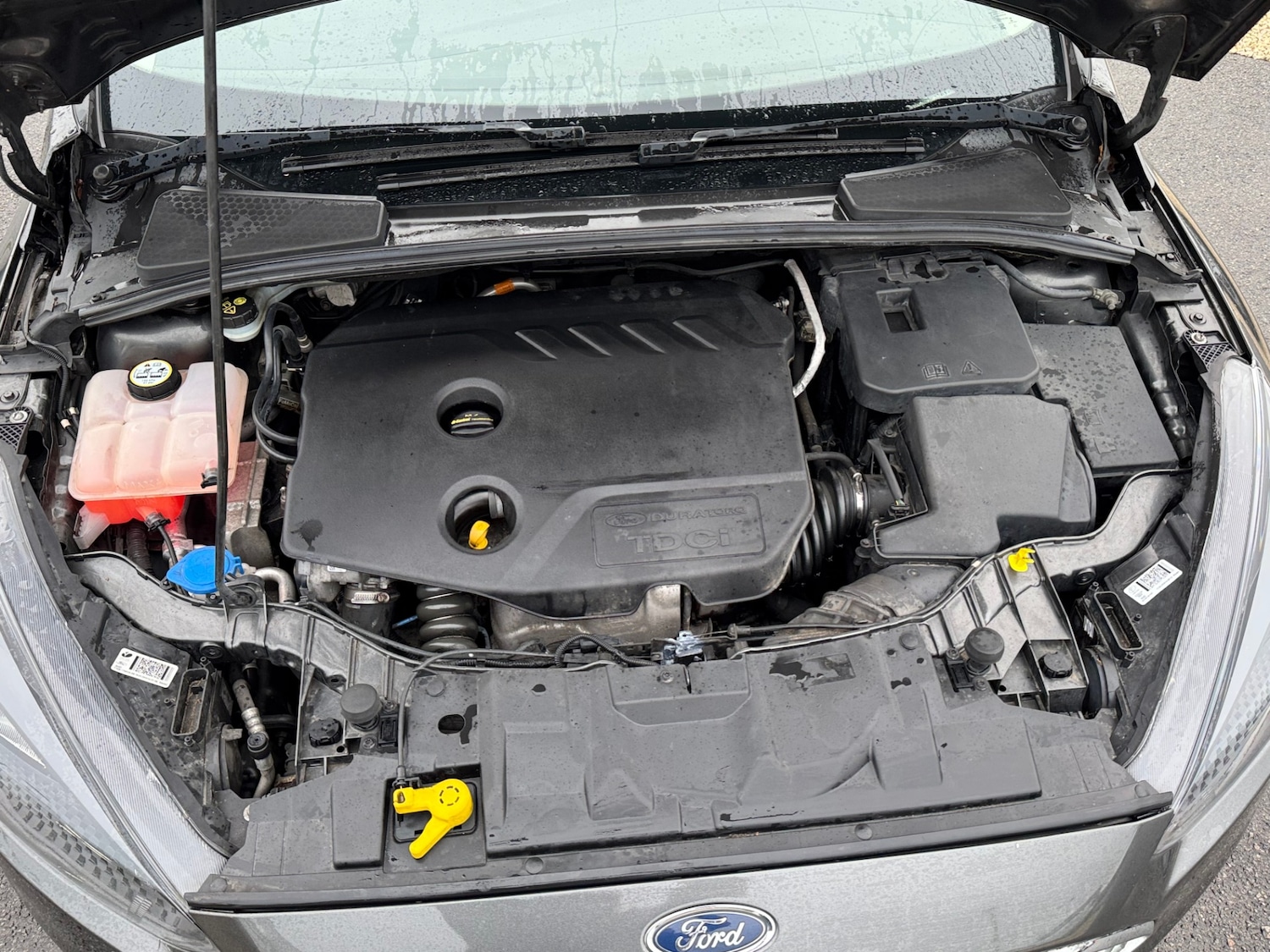 Used Ford Focus 2015 for sale - 76818050: Photo 9