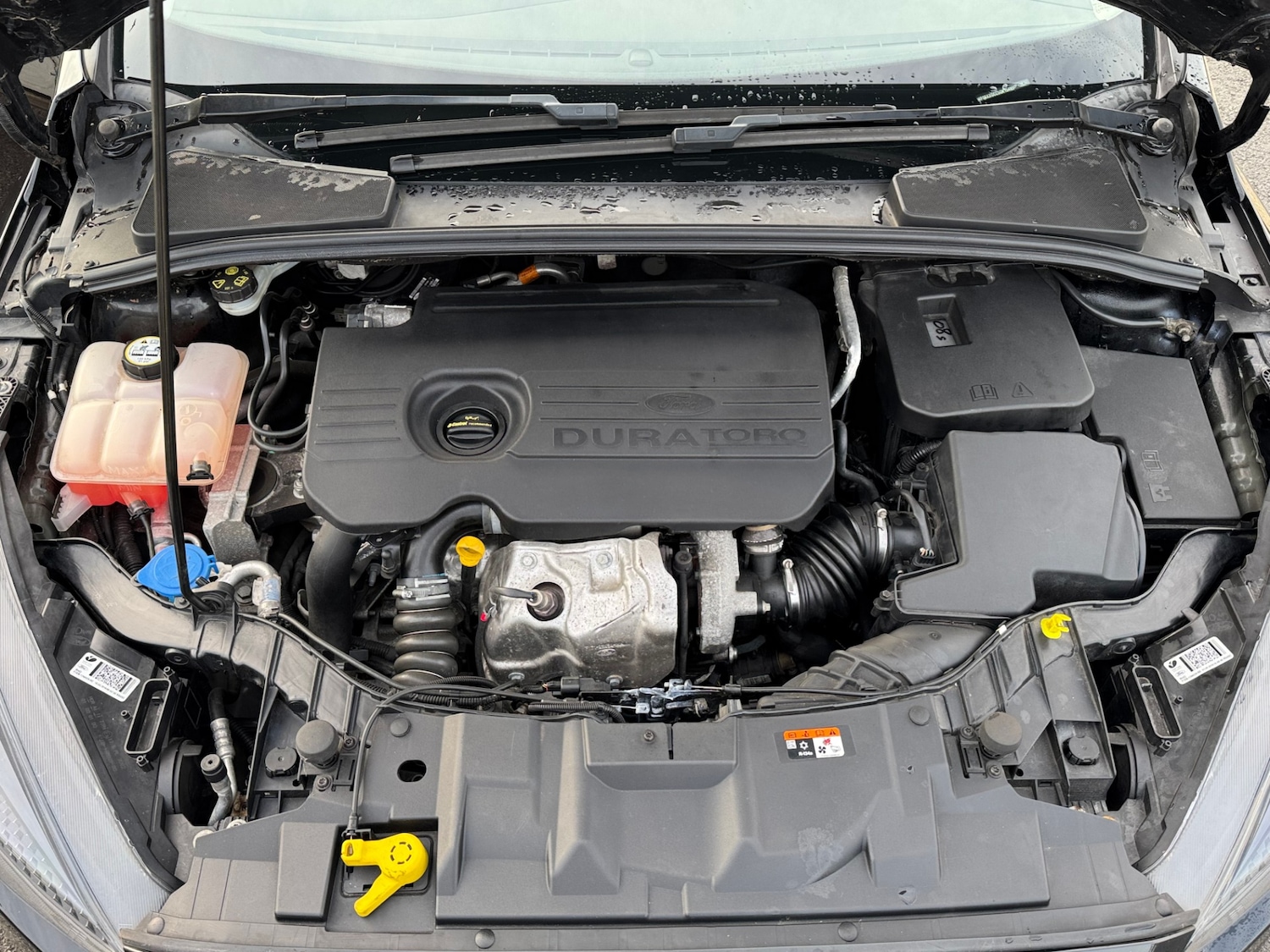 Used Ford Focus 2016 for sale - 76932309: Photo 9