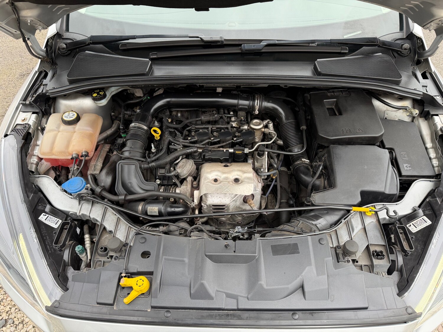 Used Ford Focus 2017 for sale - 77848397: Photo 9