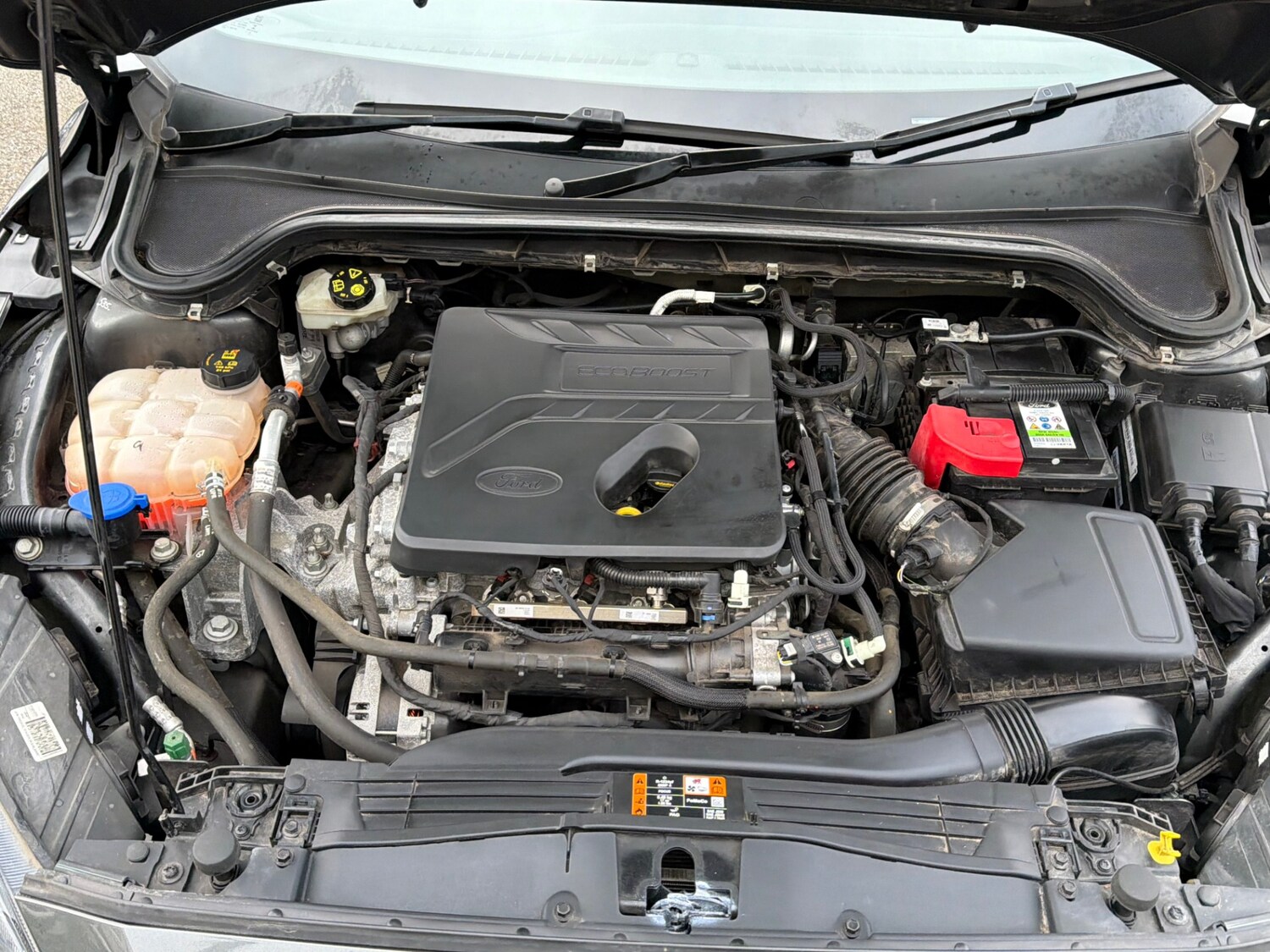 Used Ford Focus 2019 for sale - 77803590: Photo 9