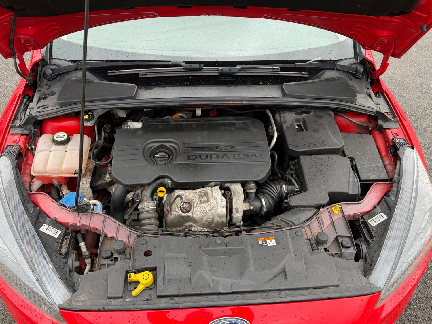 Used Ford Focus 2016 for sale - 77297365: Photo 9