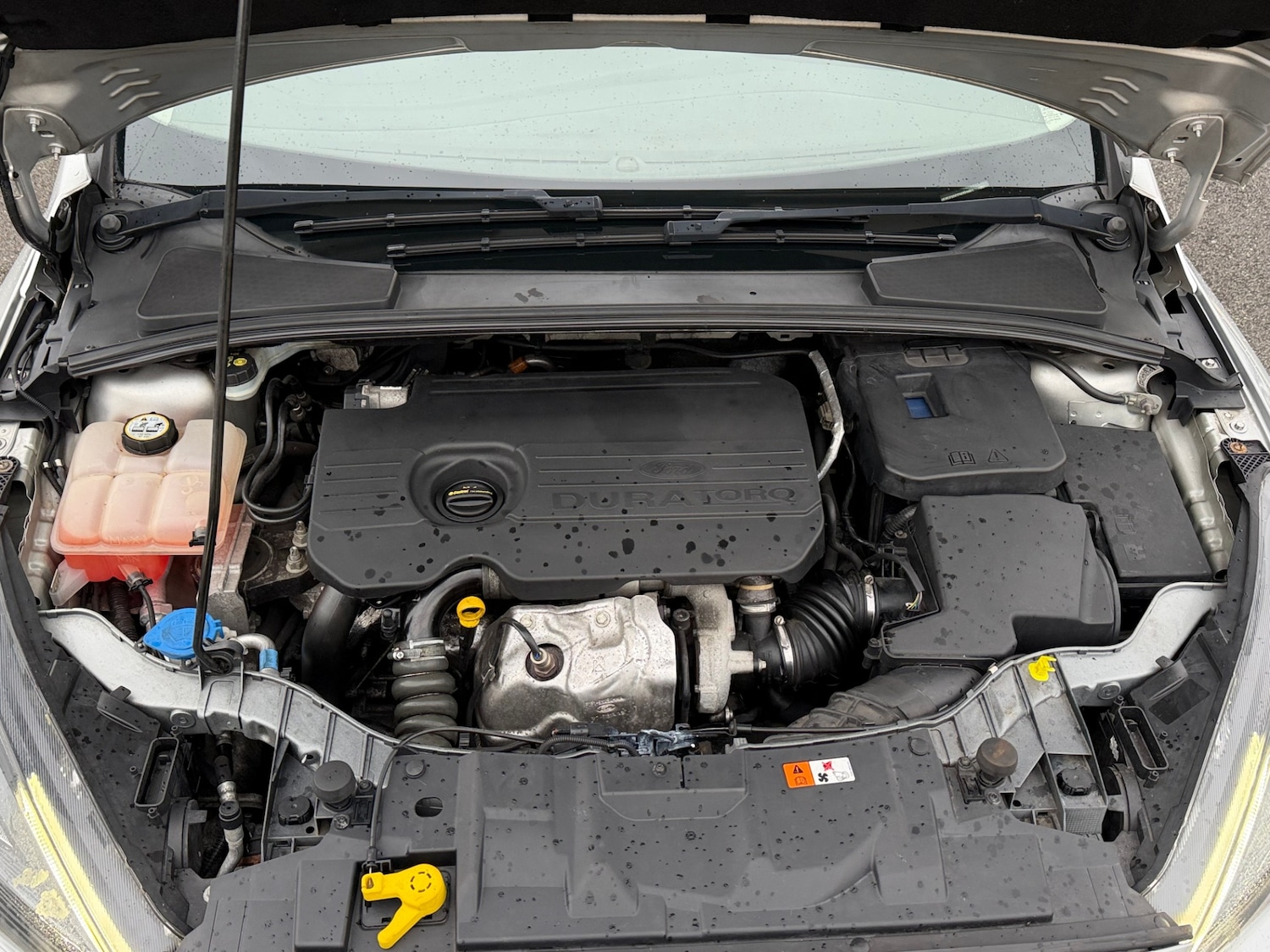 Used Ford Focus 2015 for sale - 77532160: Photo 9