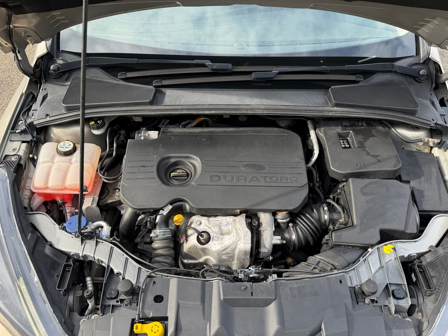 Used Ford Focus 2016 for sale - 77715614: Photo 8