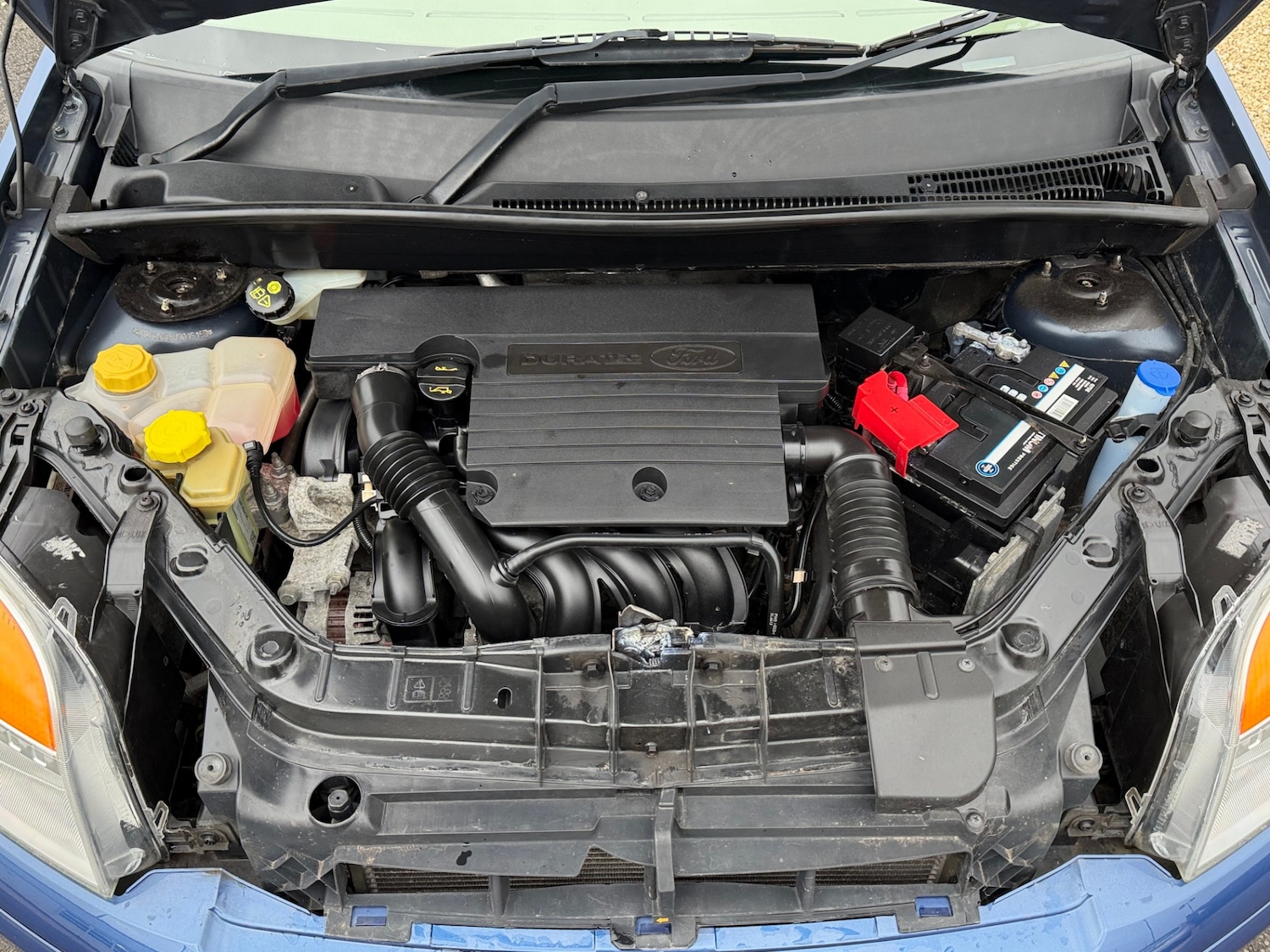 Used Ford Fusion 2009 for sale - 77607486: Photo 9