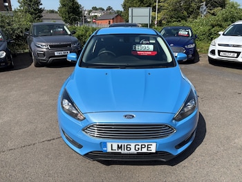 Used Ford Focus 2016 for sale - 79375397: Photo