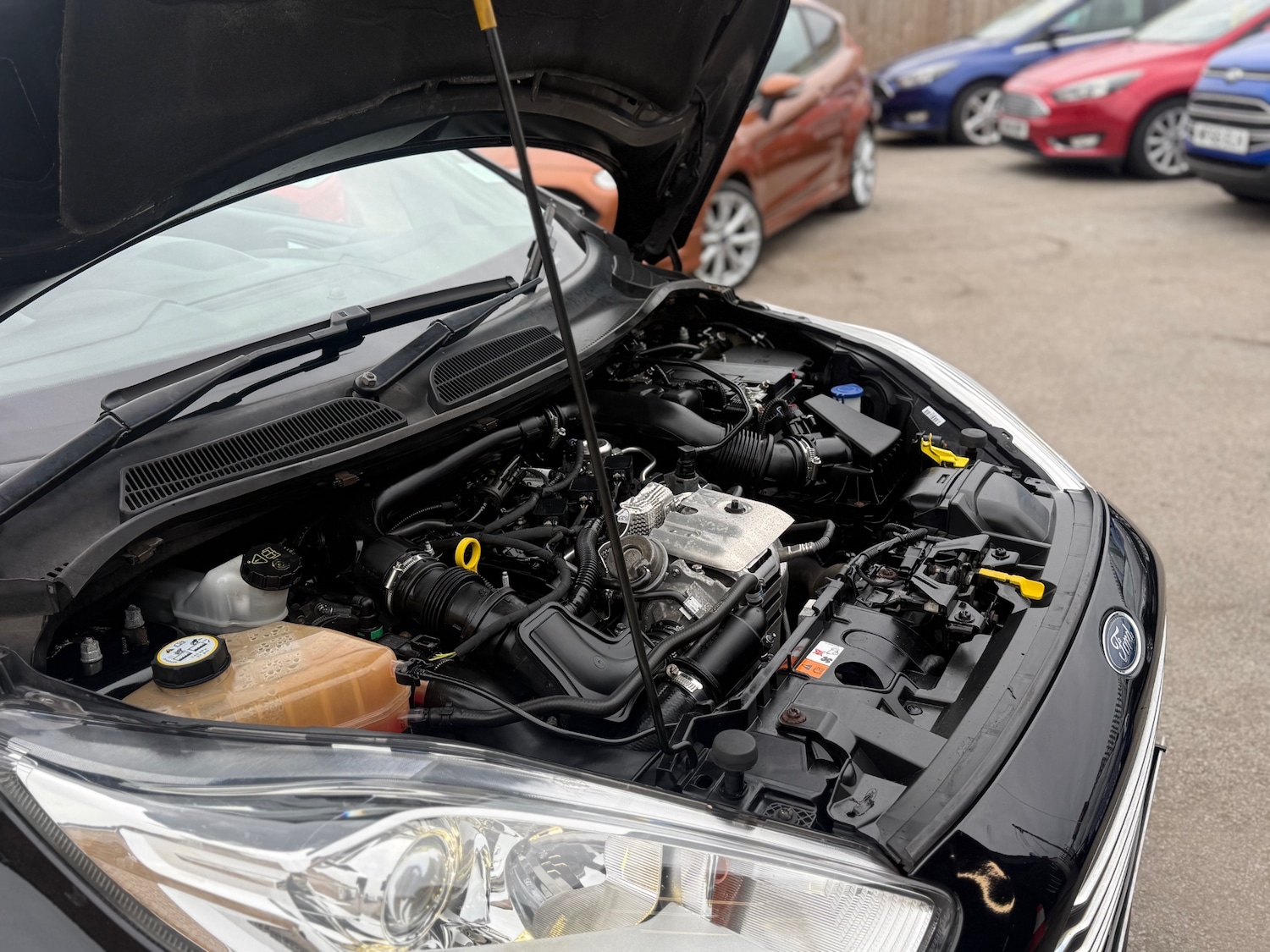 Used Ford Fiesta 2015 for sale - 78093055: Photo 55