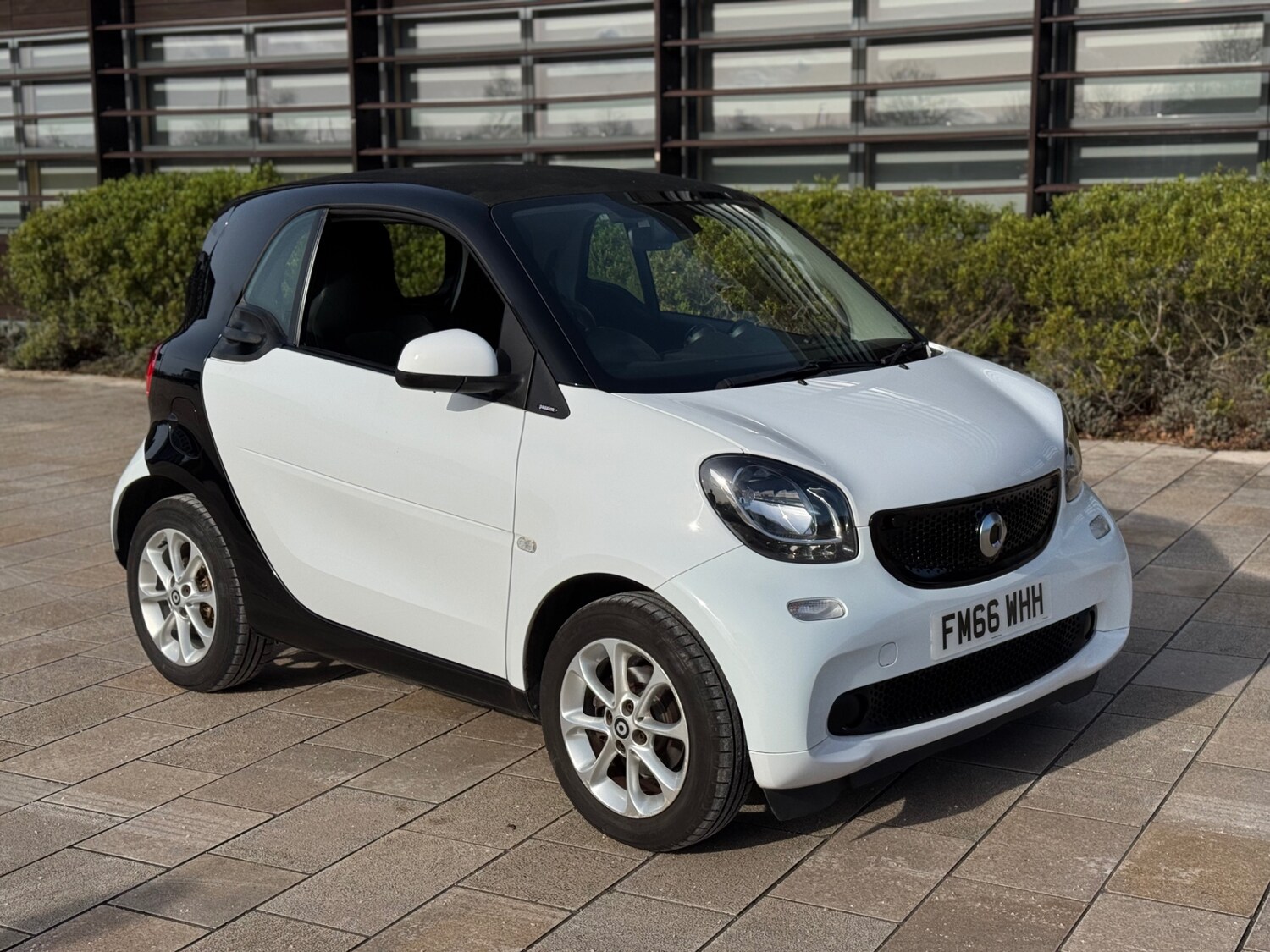 Used smart fortwo 2017 for sale - 77555670: Photo 13