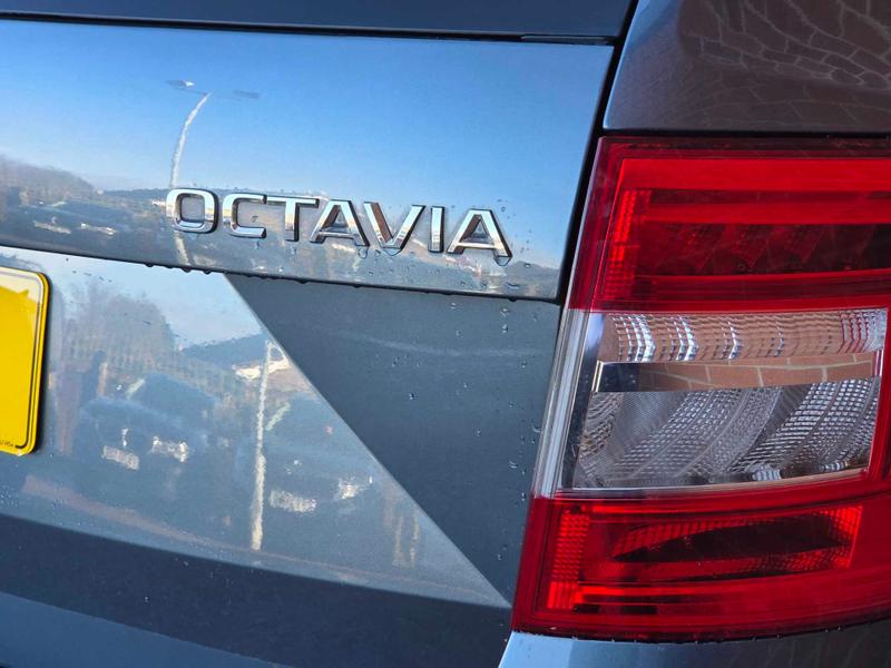 Used Skoda Octavia for sale - 77570736: Photo 18