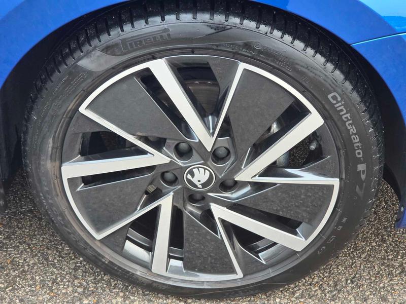 Used Skoda Octavia 2025 for sale - 76949120: Photo 5