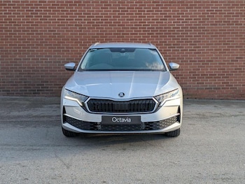 Used Skoda Octavia undefined for sale - 77447319: Photo