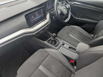 Used Skoda Octavia 2023 for sale - 77834414: Photo