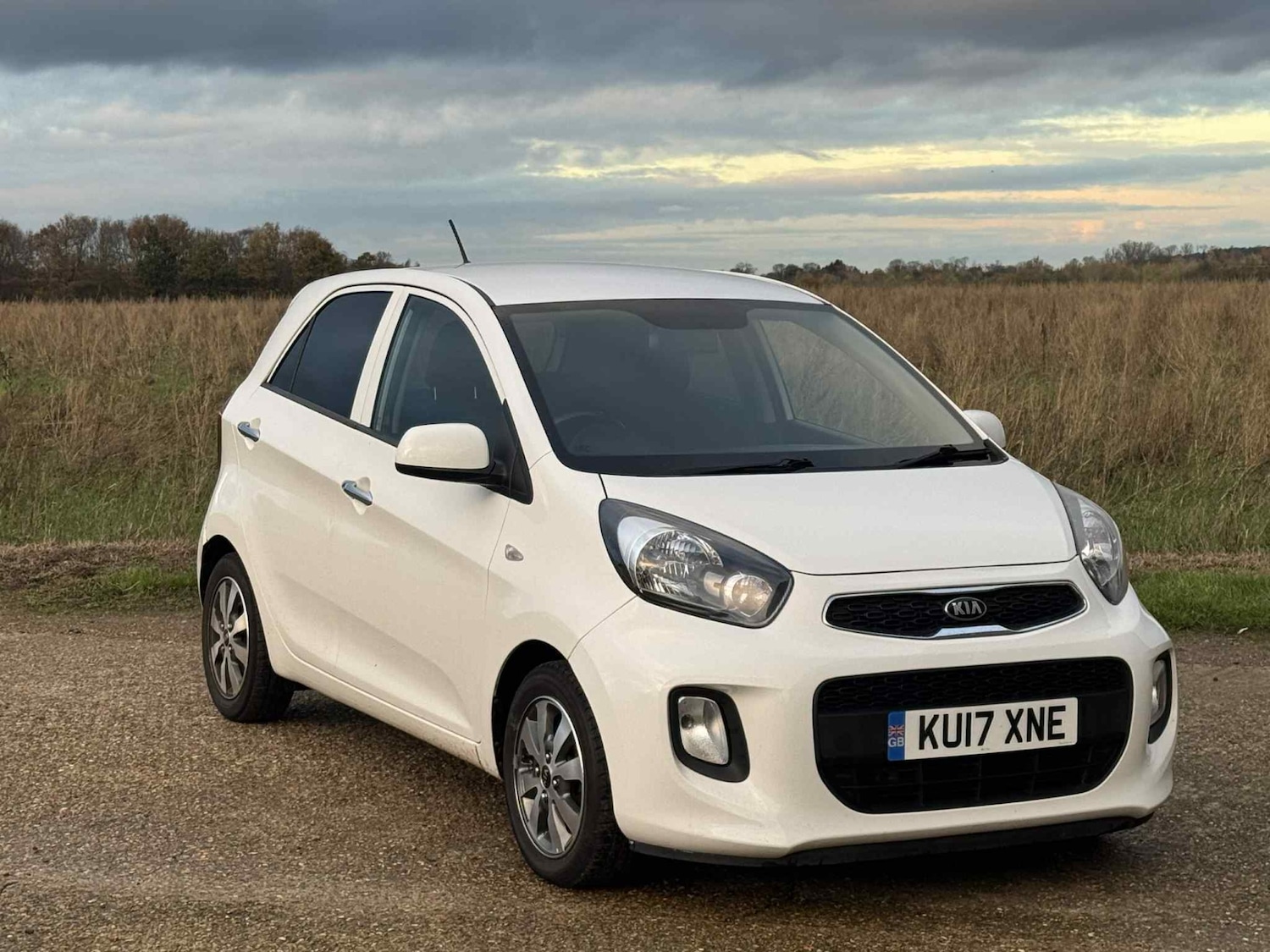 Used Kia Picanto 2017 for sale - 76618387: Photo 1