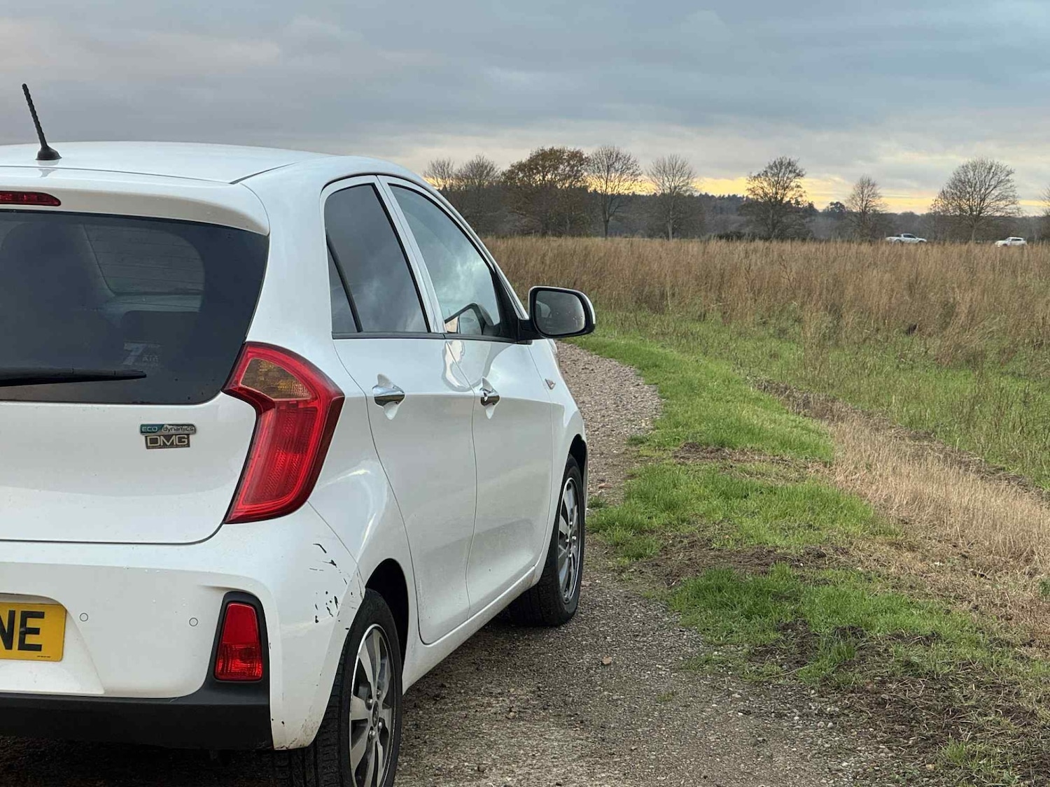 Used Kia Picanto 2017 for sale - 76618387: Photo 11