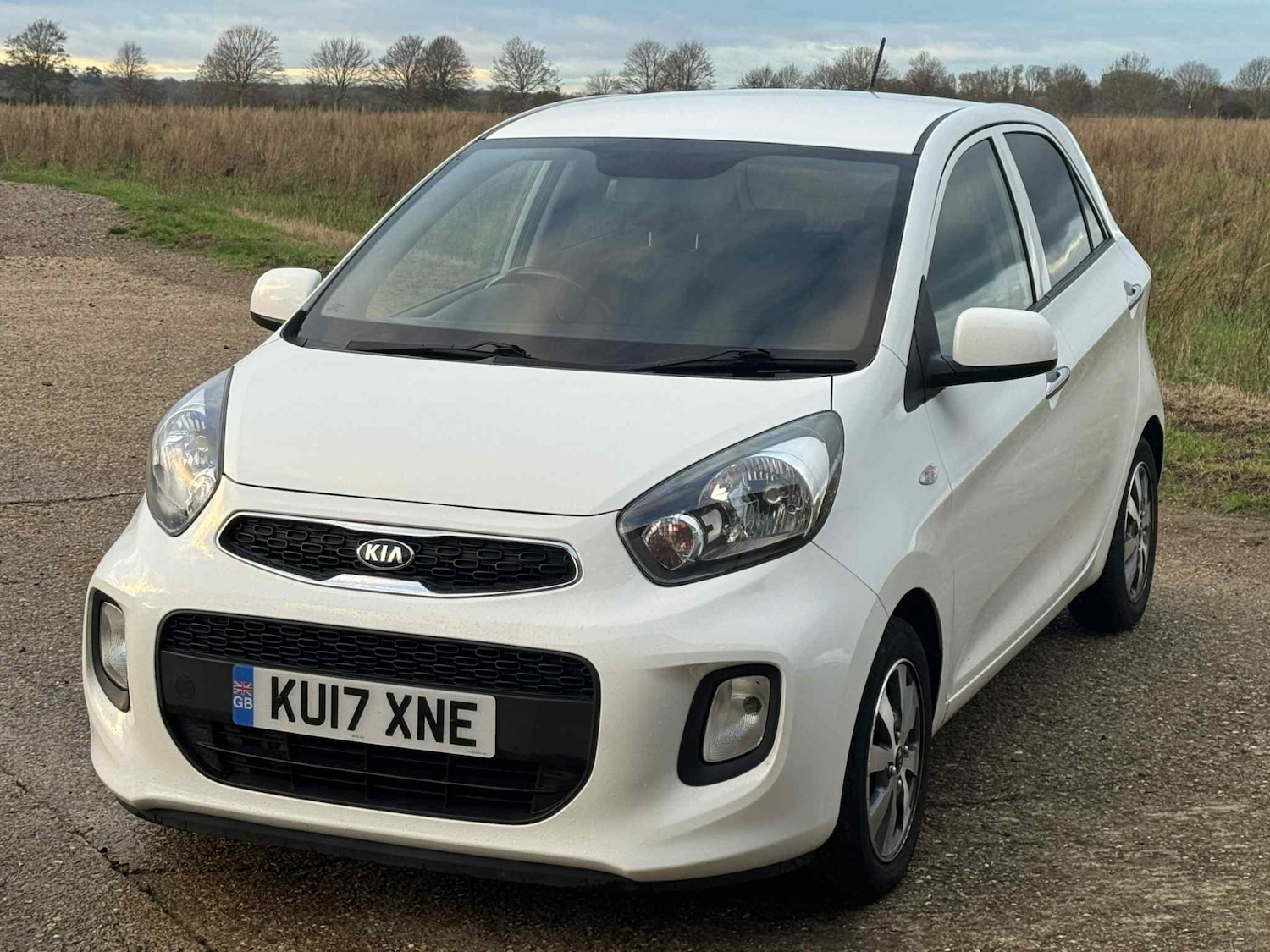 Used Kia Picanto 2017 for sale - 76618387: Photo 4