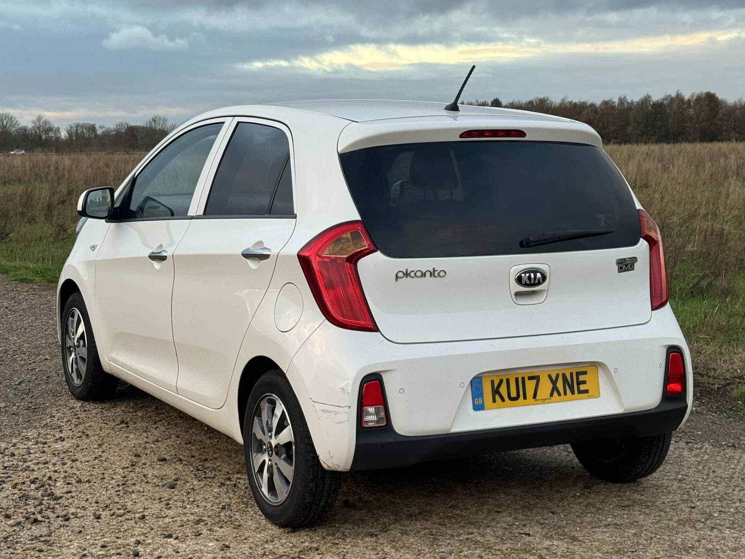 Used Kia Picanto 2017 for sale - 76618387: Photo 7