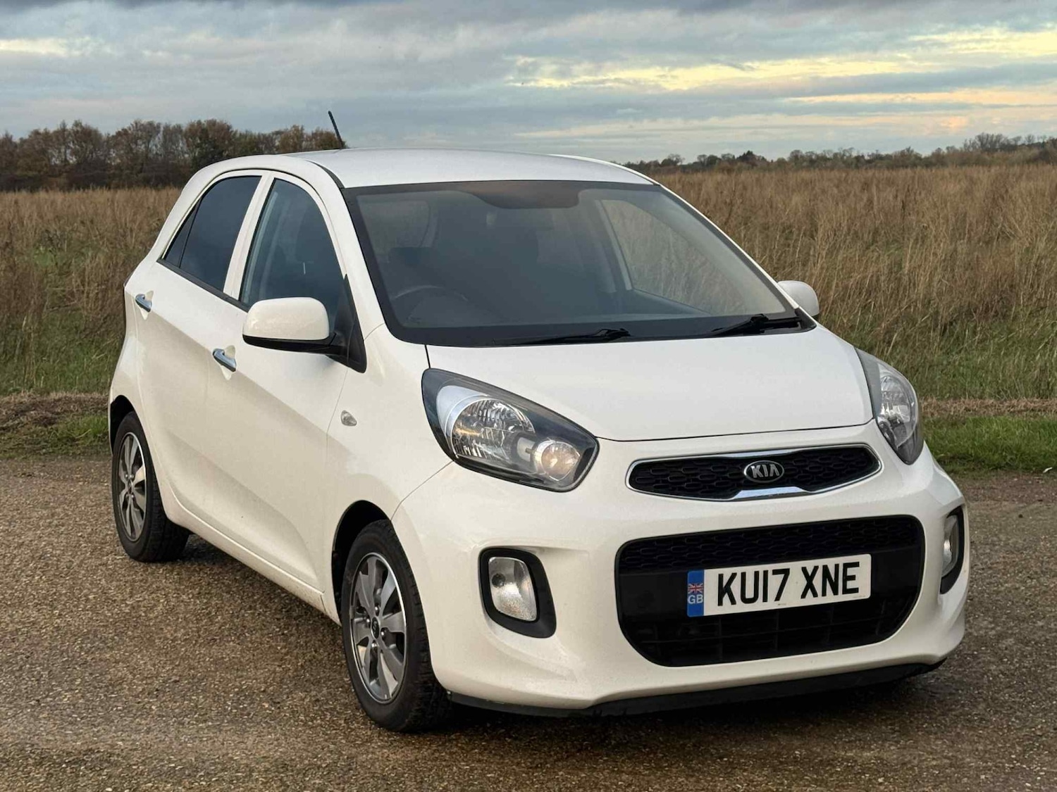 Used Kia Picanto 2017 for sale - 76618387: Photo 9