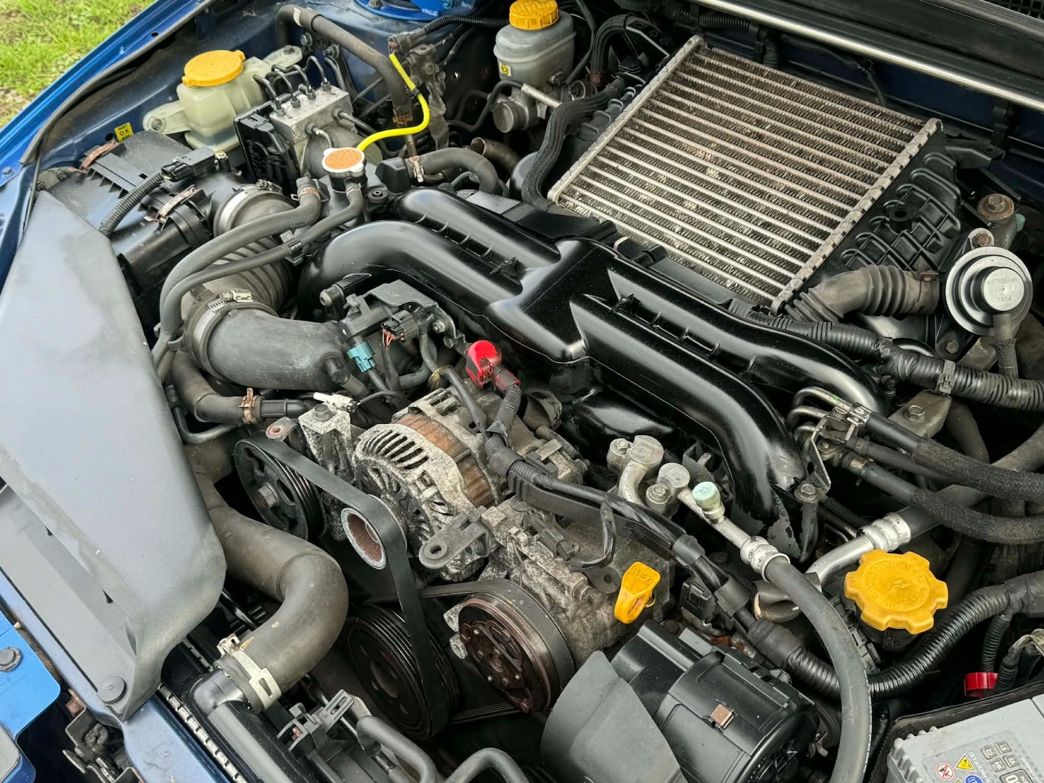 Used Subaru Impreza 2009 for sale - 77708420: Photo 13