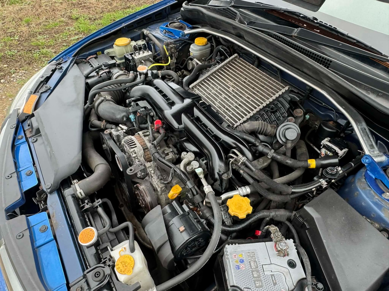 Used Subaru Impreza 2009 for sale - 77708420: Photo 16