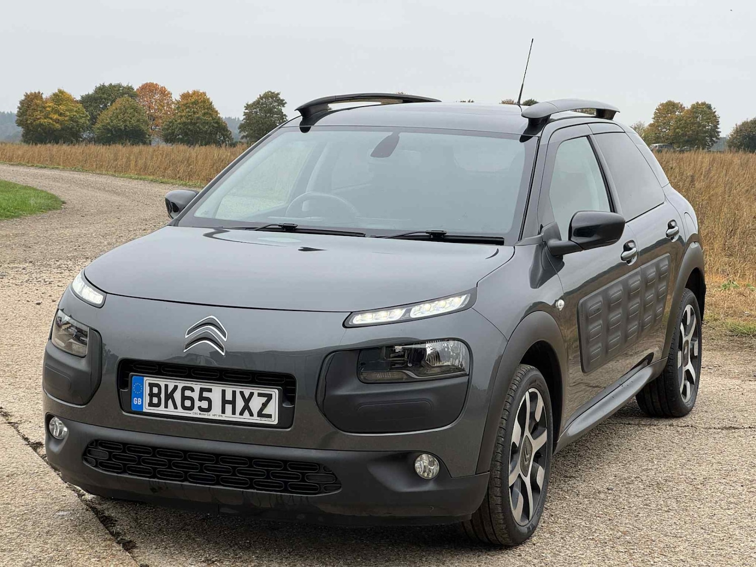 Used Citroen C4 Cactus 2015 for sale - 76265716: Photo 4
