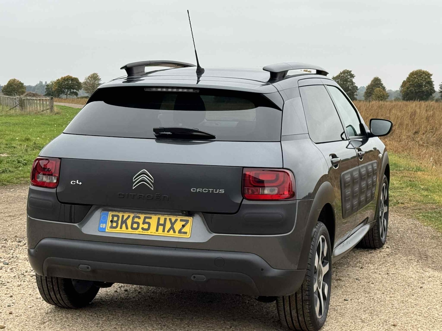 Used Citroen C4 Cactus 2015 for sale - 76265716: Photo 6