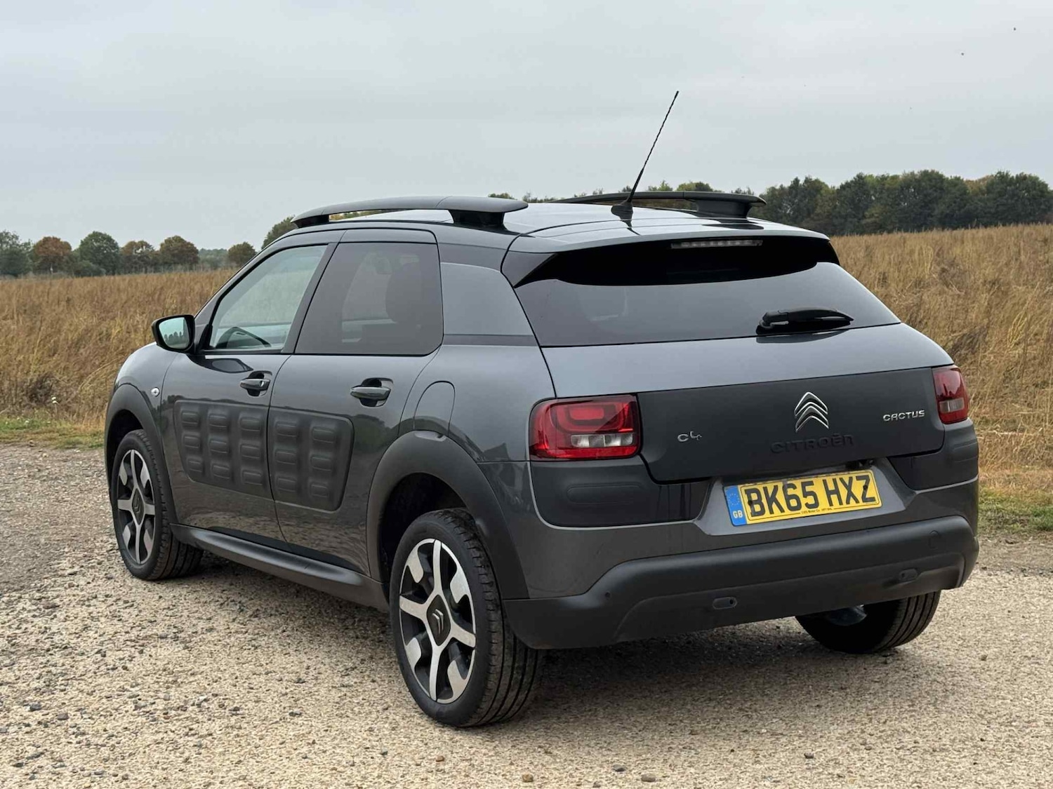 Used Citroen C4 Cactus 2015 for sale - 76265716: Photo 8