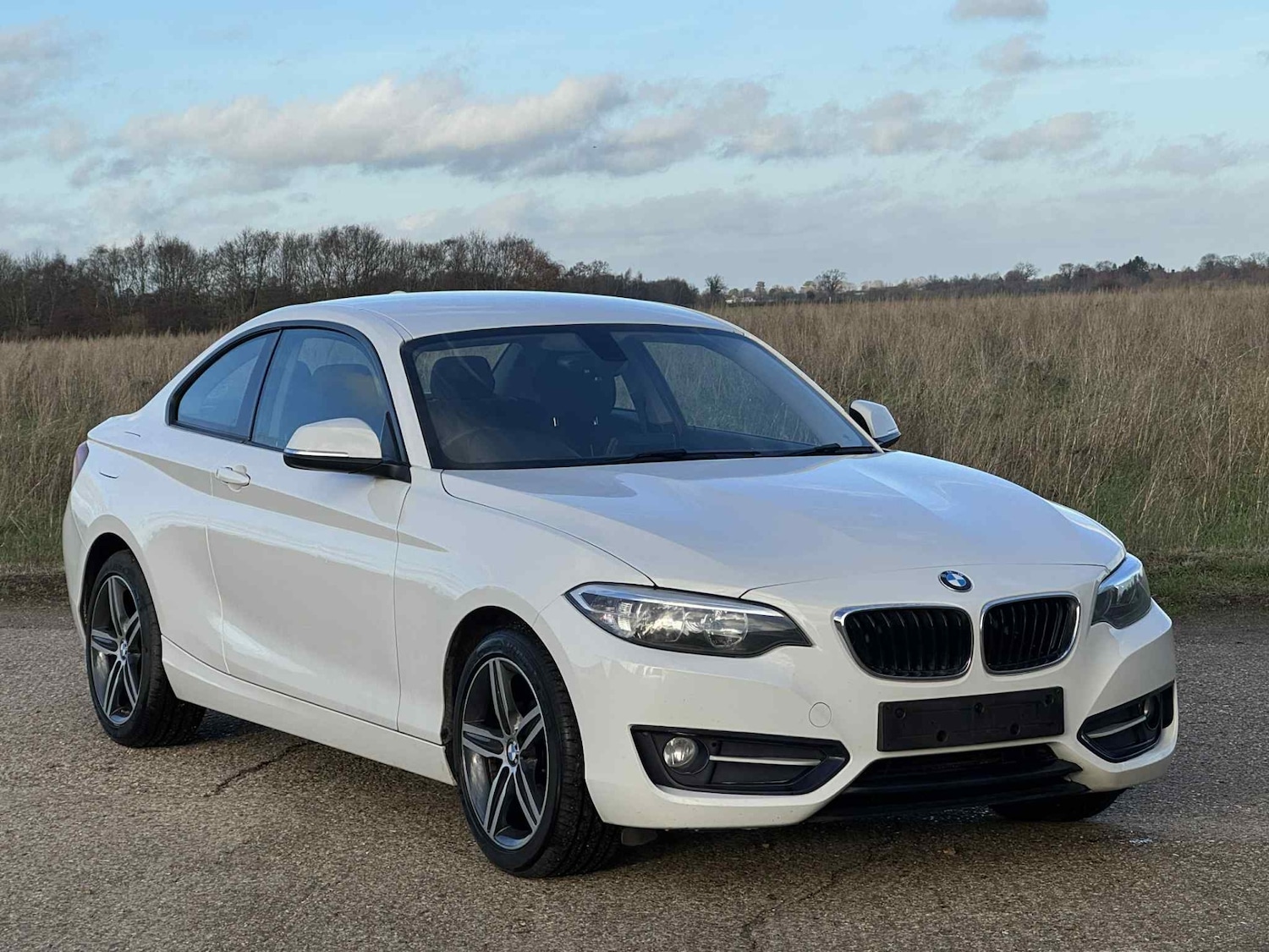 Used BMW 2 Series 2014 for sale - 76908865: Photo 1