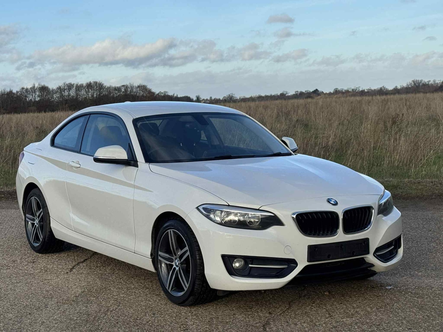 Used BMW 2 Series 2014 for sale - 76908865: Photo 18