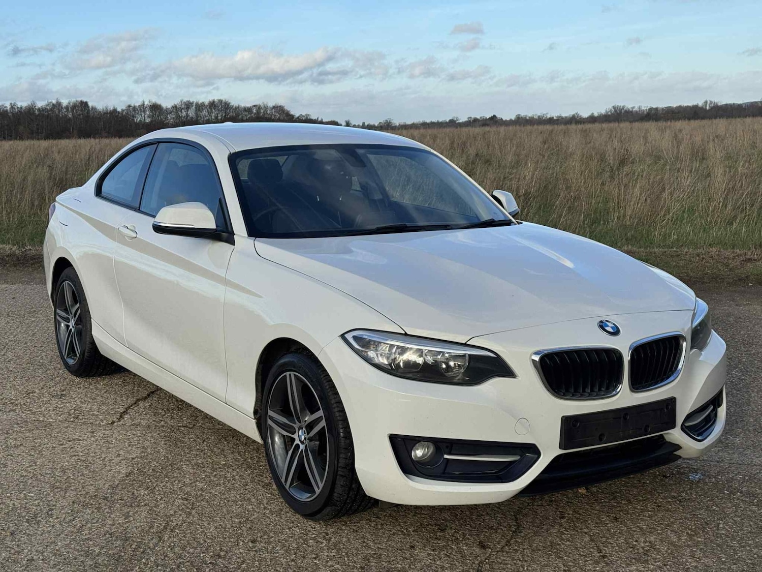 Used BMW 2 Series 2014 for sale - 76908865: Photo 2