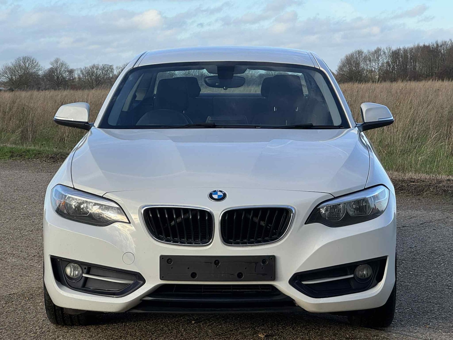 Used BMW 2 Series 2014 for sale - 76908865: Photo 3