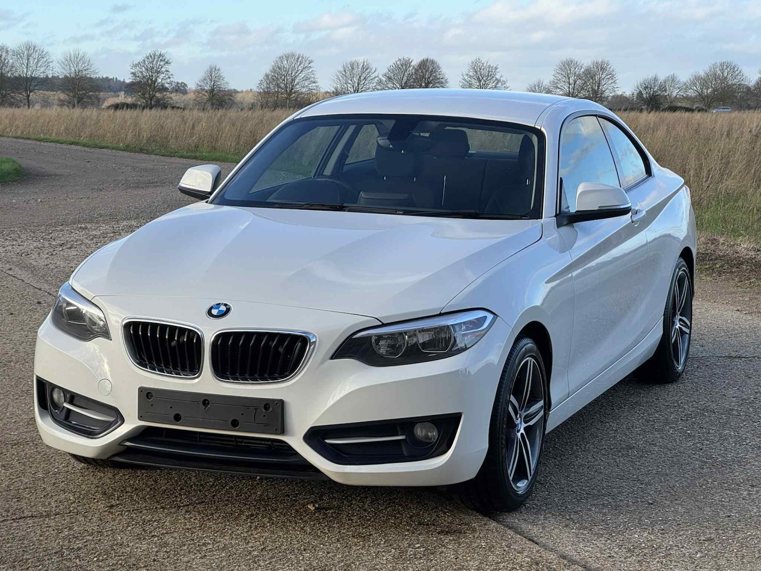 Used BMW 2 Series 2014 for sale - 76908865: Photo 4