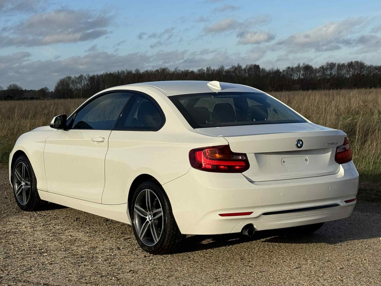 Used BMW 2 Series 2014 for sale - 76908865: Photo 5