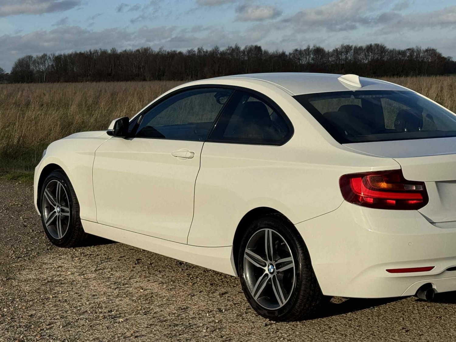 Used BMW 2 Series 2014 for sale - 76908865: Photo 6