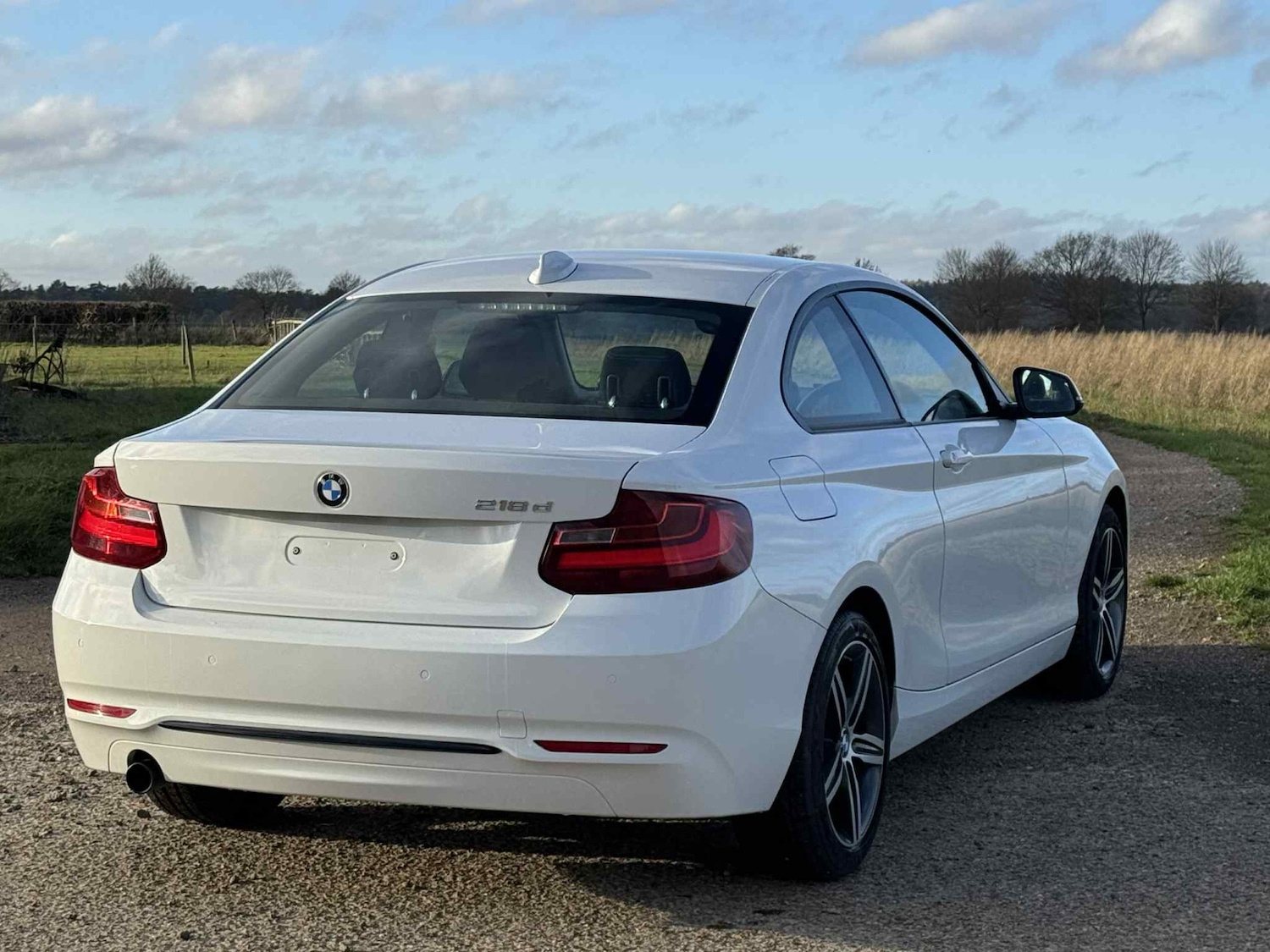 Used BMW 2 Series 2014 for sale - 76908865: Photo 7