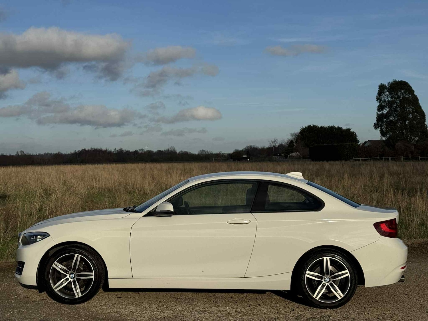 Used BMW 2 Series 2014 for sale - 76908865: Photo 8
