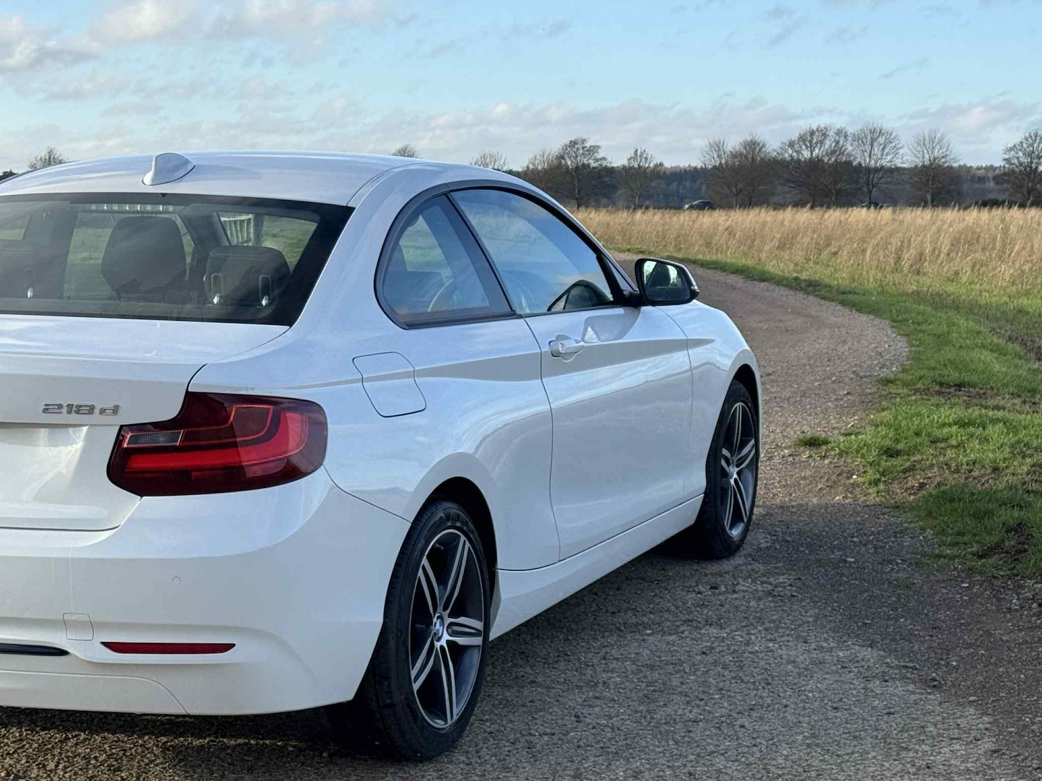 Used BMW 2 Series 2014 for sale - 76908865: Photo 9