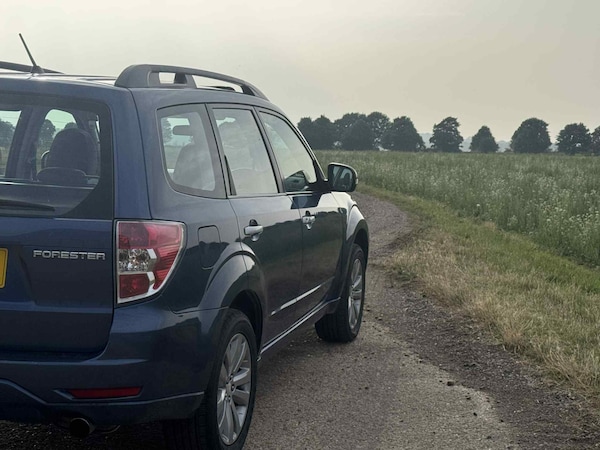 Used Subaru Forester 2011 for sale - 75338239: Photo 17