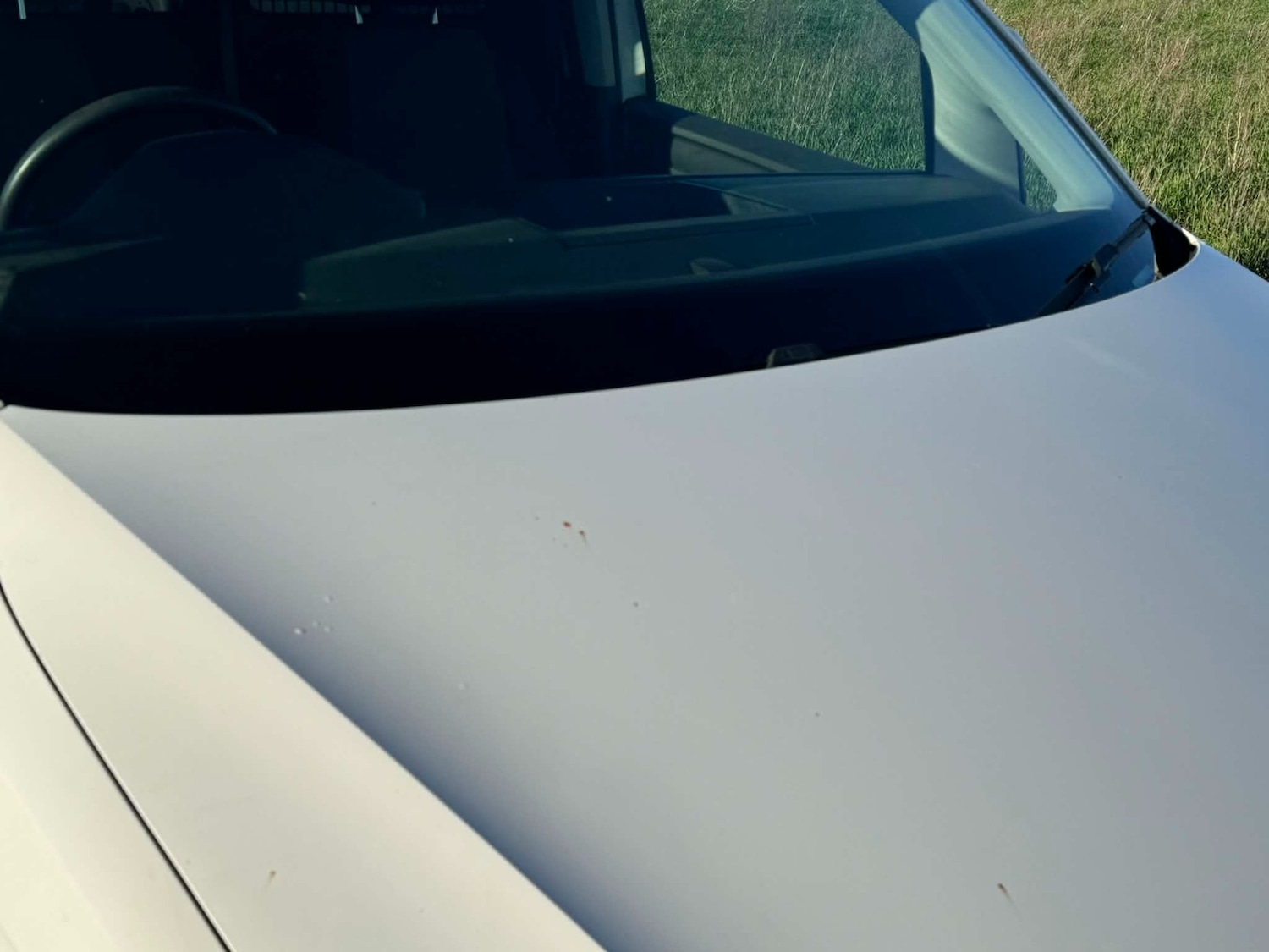 Used Volkswagen Caddy 2016 for sale - 77693825: Photo 24