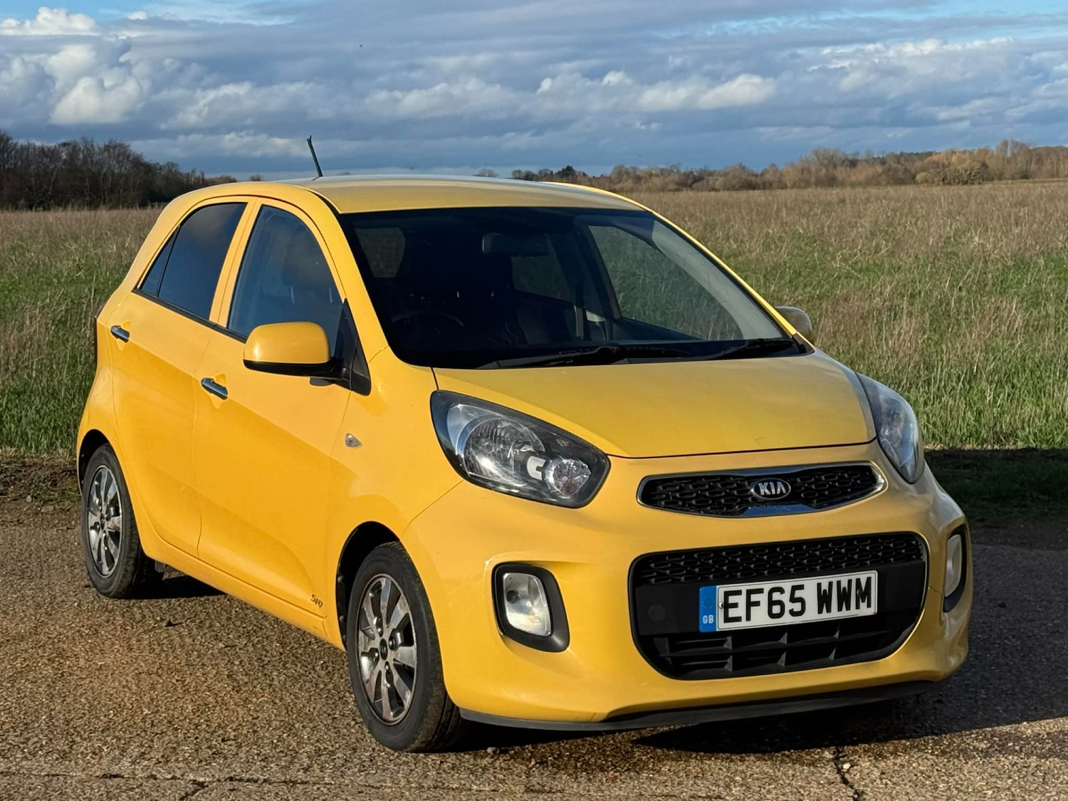 Used Kia Picanto 2016 for sale - 77694044: Photo 2